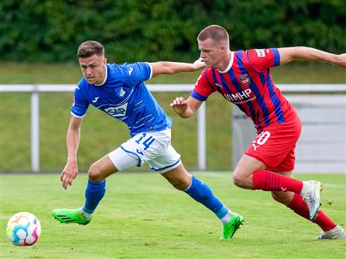 ไฮเดนไฮเมอร์ vs ทีเอสจี ฮอฟเฟนไฮม์